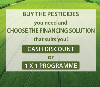 Cash Discount programme and 1 x 1 programme 